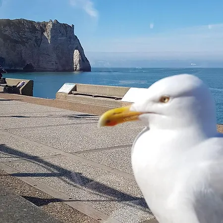 La 10 Hotell Étretat