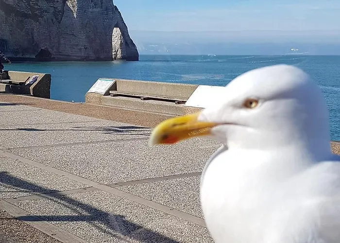 La 10 酒店 埃特勒塔